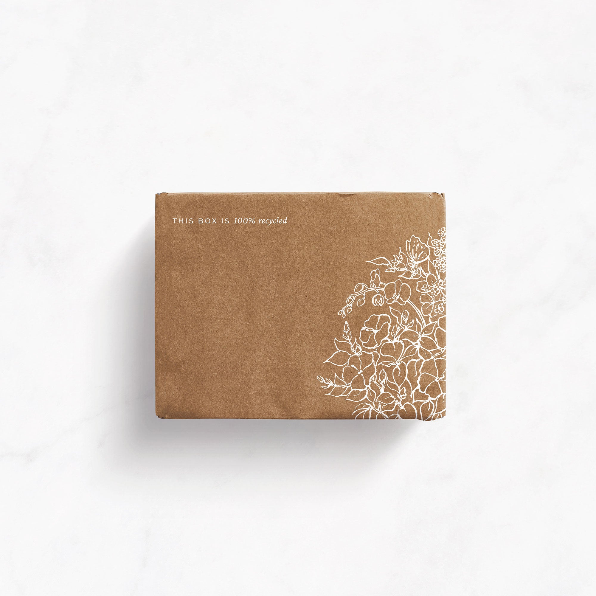 Karolina Król Studio elegant minimalist line illustrations for a shipping box packaging design