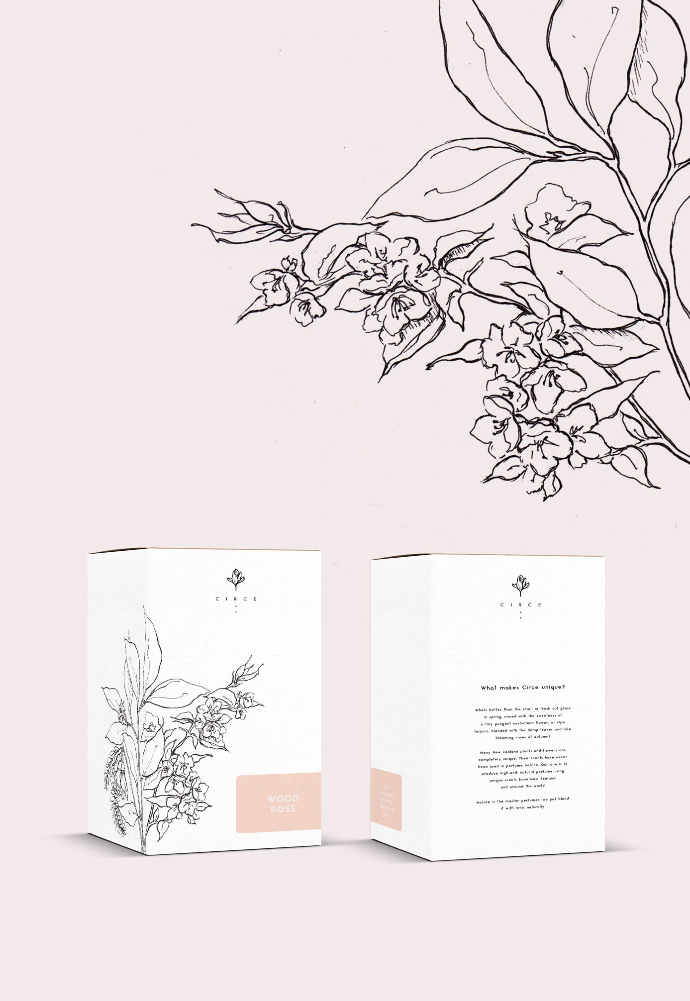 karolina krol studio circe sustainable organic floral perfume minimalist illustrated packaging design