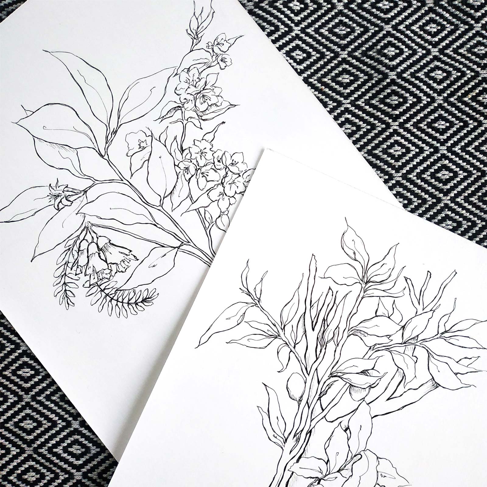 karolina krol studio circe sustainable organic floral woody perfume minimalist packaging design illustration