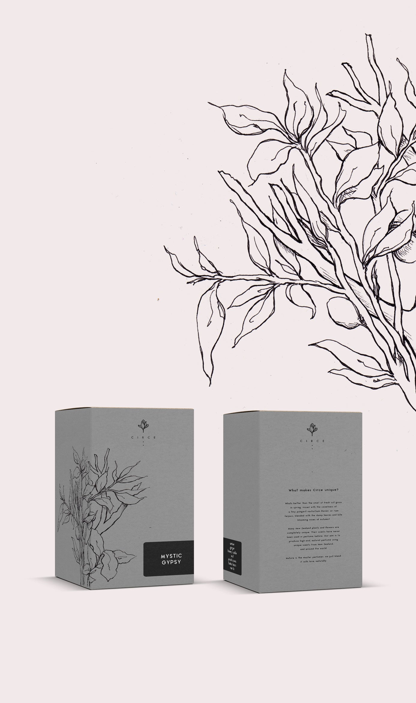 karolina krol studio circe sustainable organic woody perfume minimalist illustrated packaging design