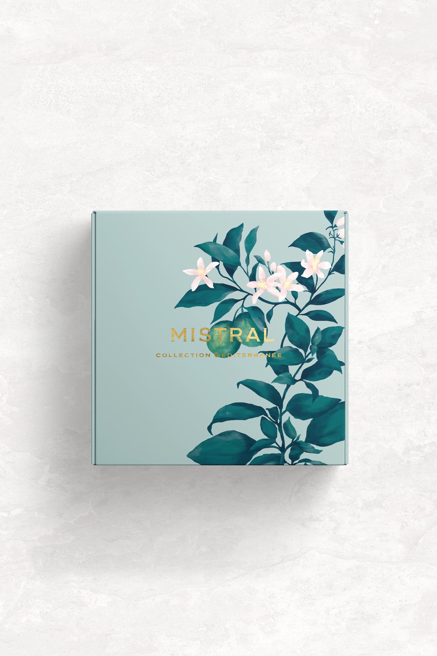 karolina krol studio mistral french hand cream sustainable minimalist packaging design illustrated shipping box

