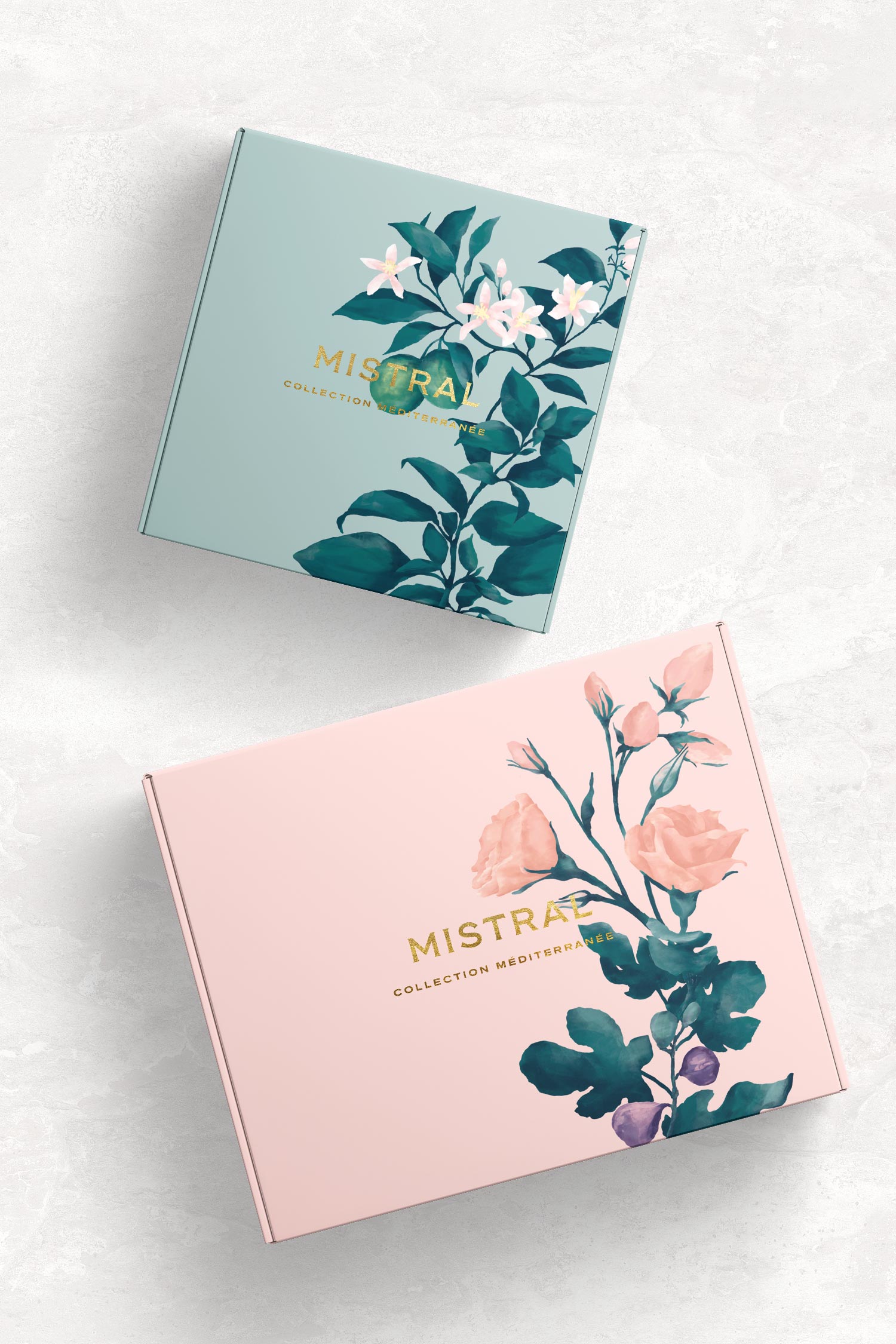 karolina krol studio mistral french hand cream sustainable minimalist packaging design shipping boxes
