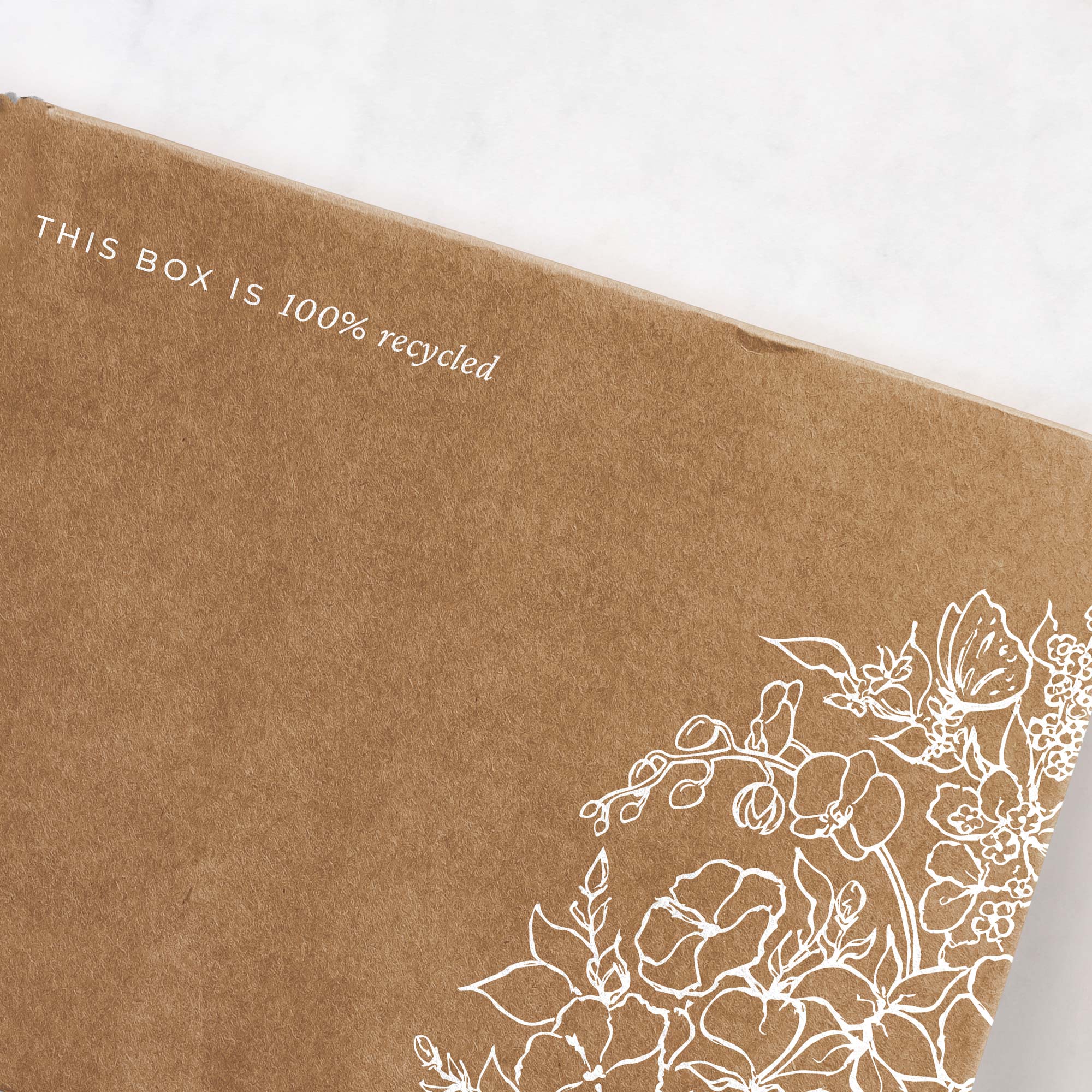 karolina krol studio phalena haircare minimalist sustainable shipping box packaging design back close up