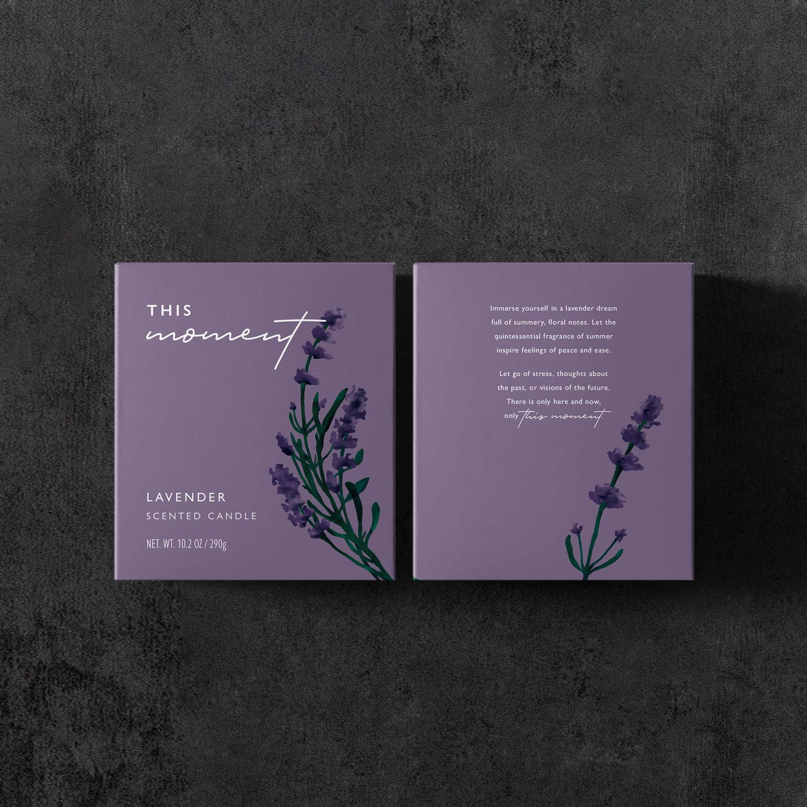 karolina krol studio this moment lavender natural sustainable soy hand poured minimalist branding custom illustrated packaging design

