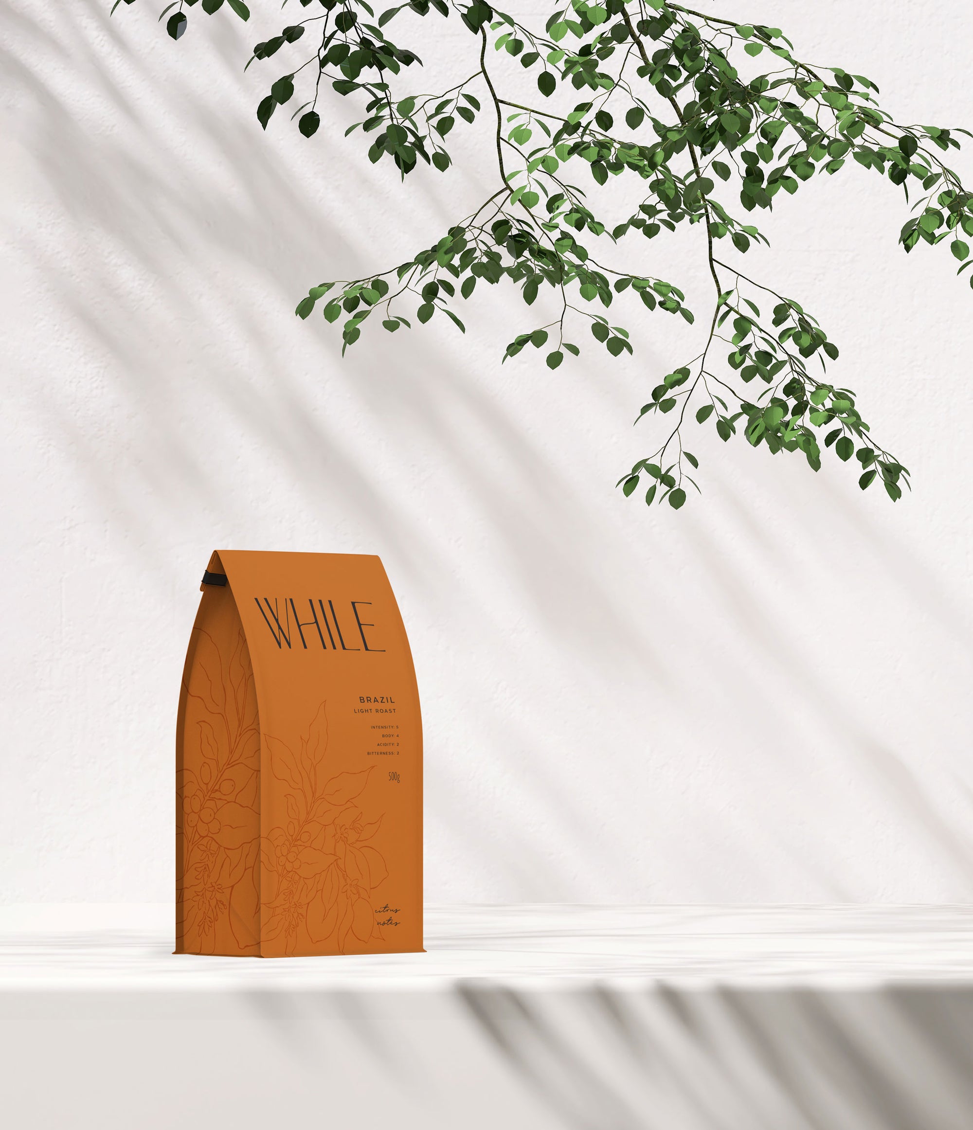 Karolina Król Studio While Coffee Brazil minimalist stylish brand and packaging design
