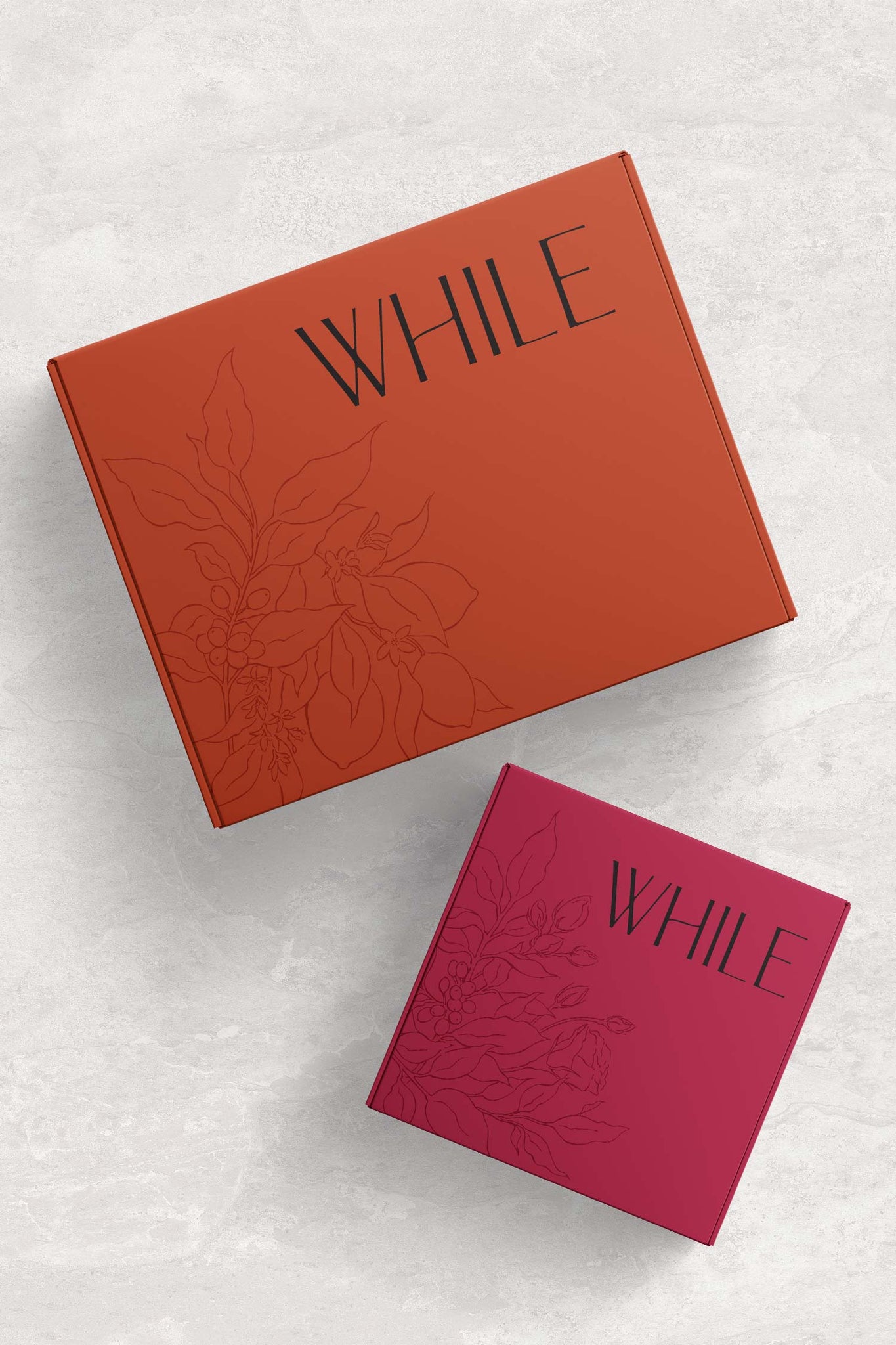 karolina krol studio while coffee natural branding packaging design shipping box
